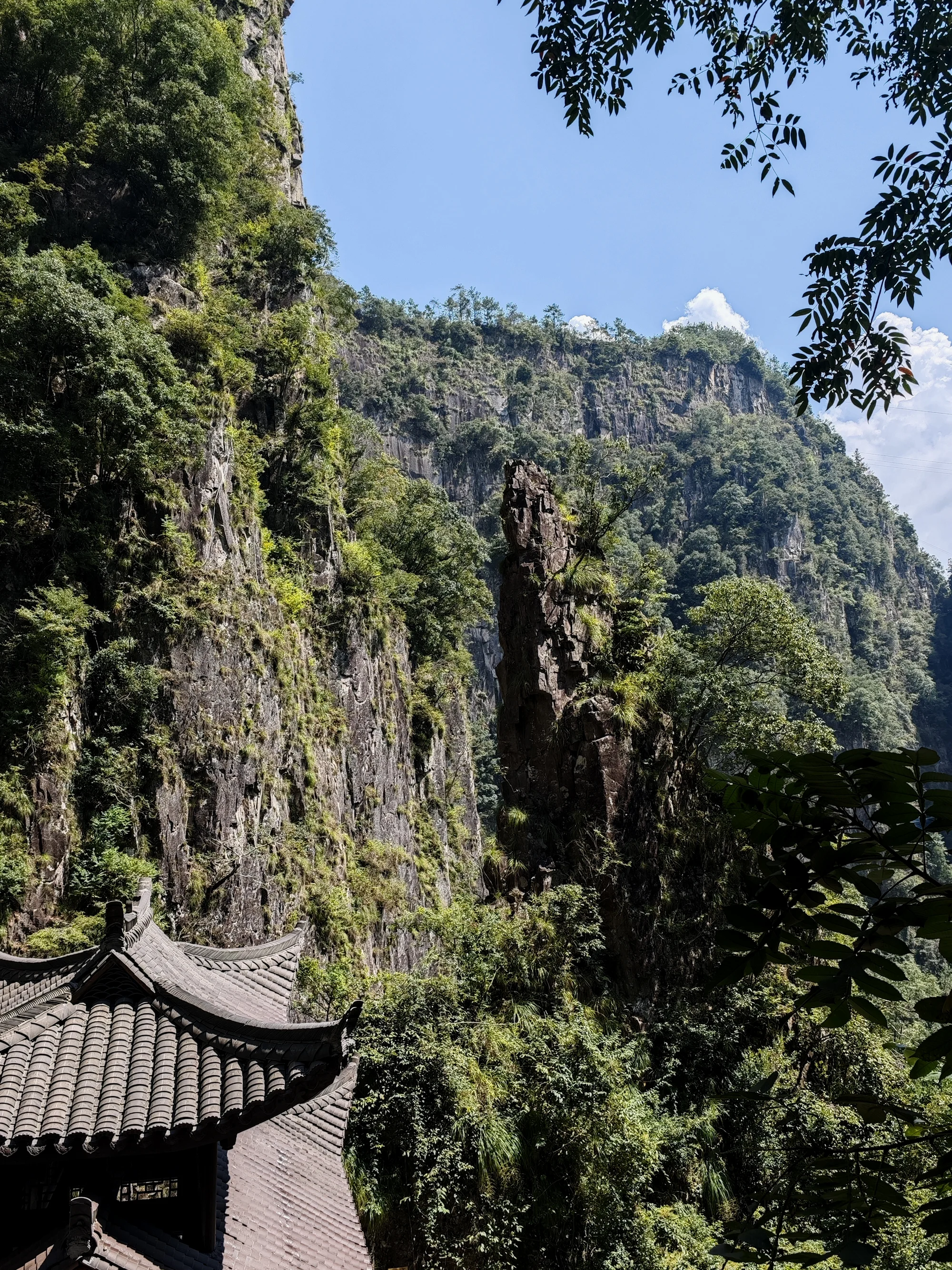 步行观景