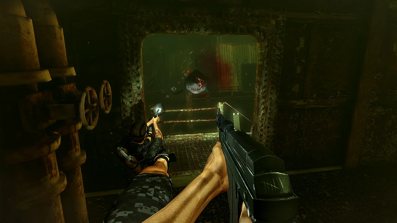 人类视角下是FPS