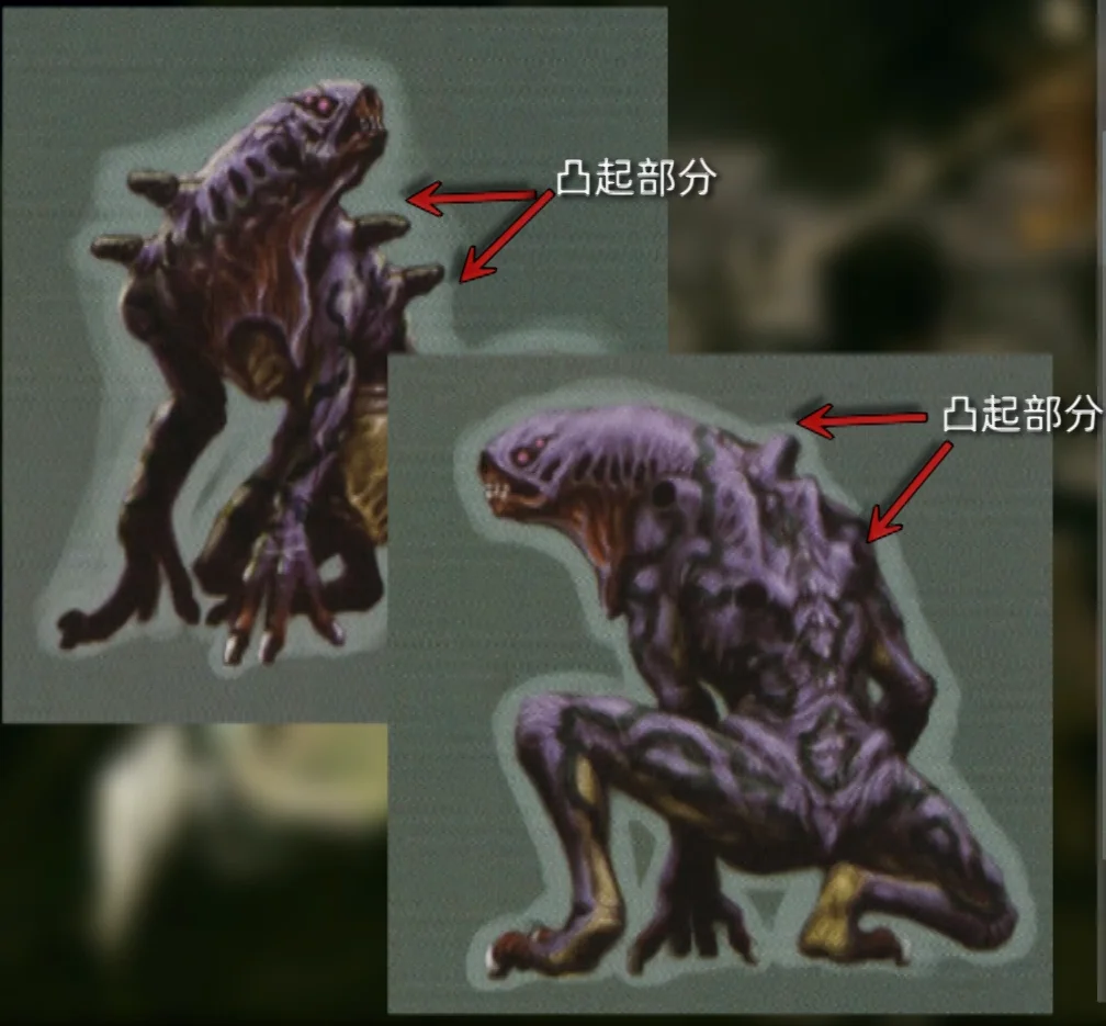 小飞虫设计方案1