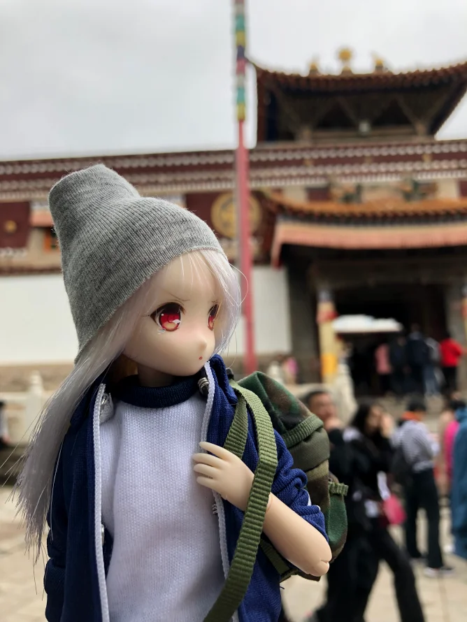 这个小家伙看得还挺认真