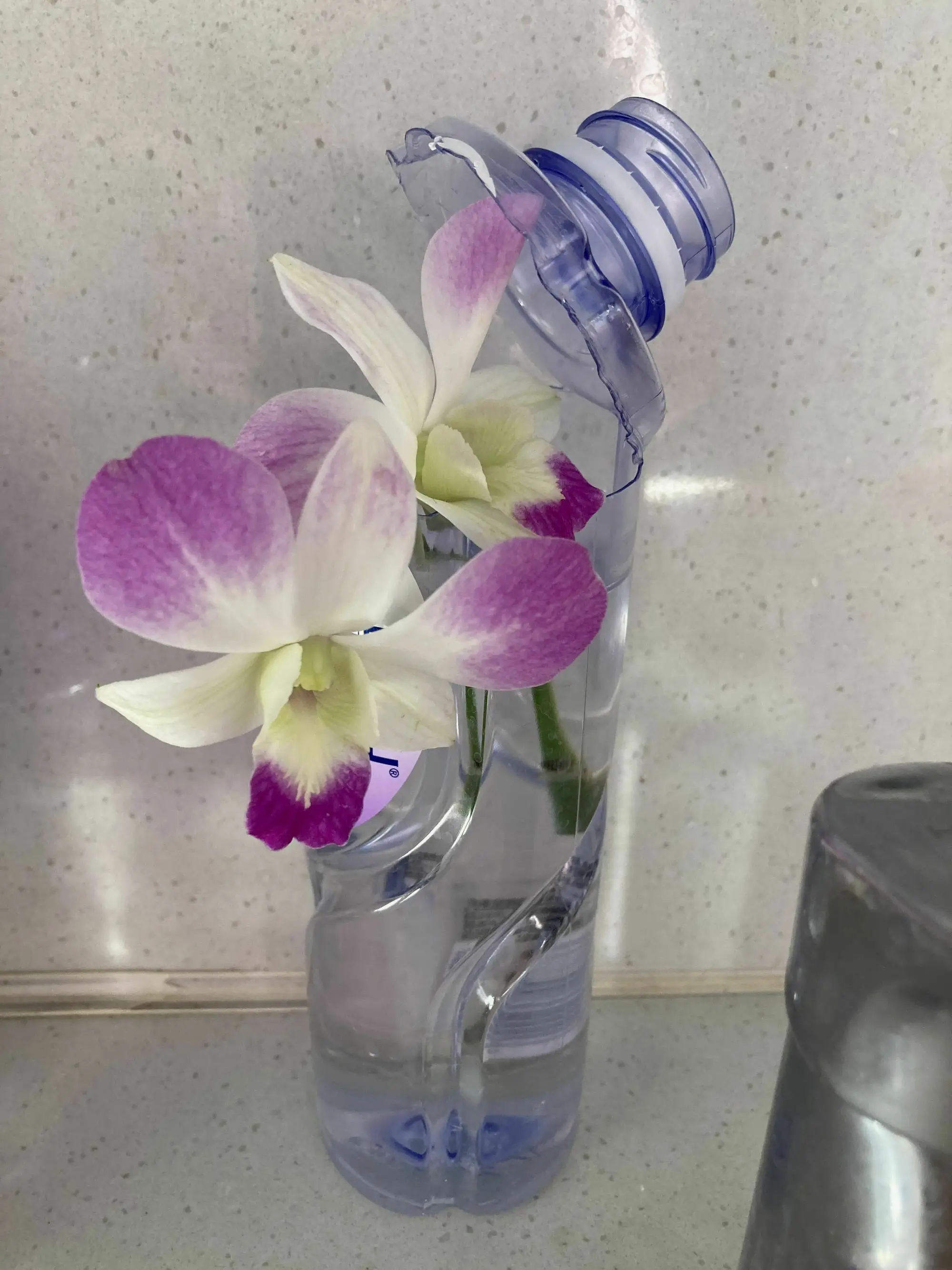 断后两个月
