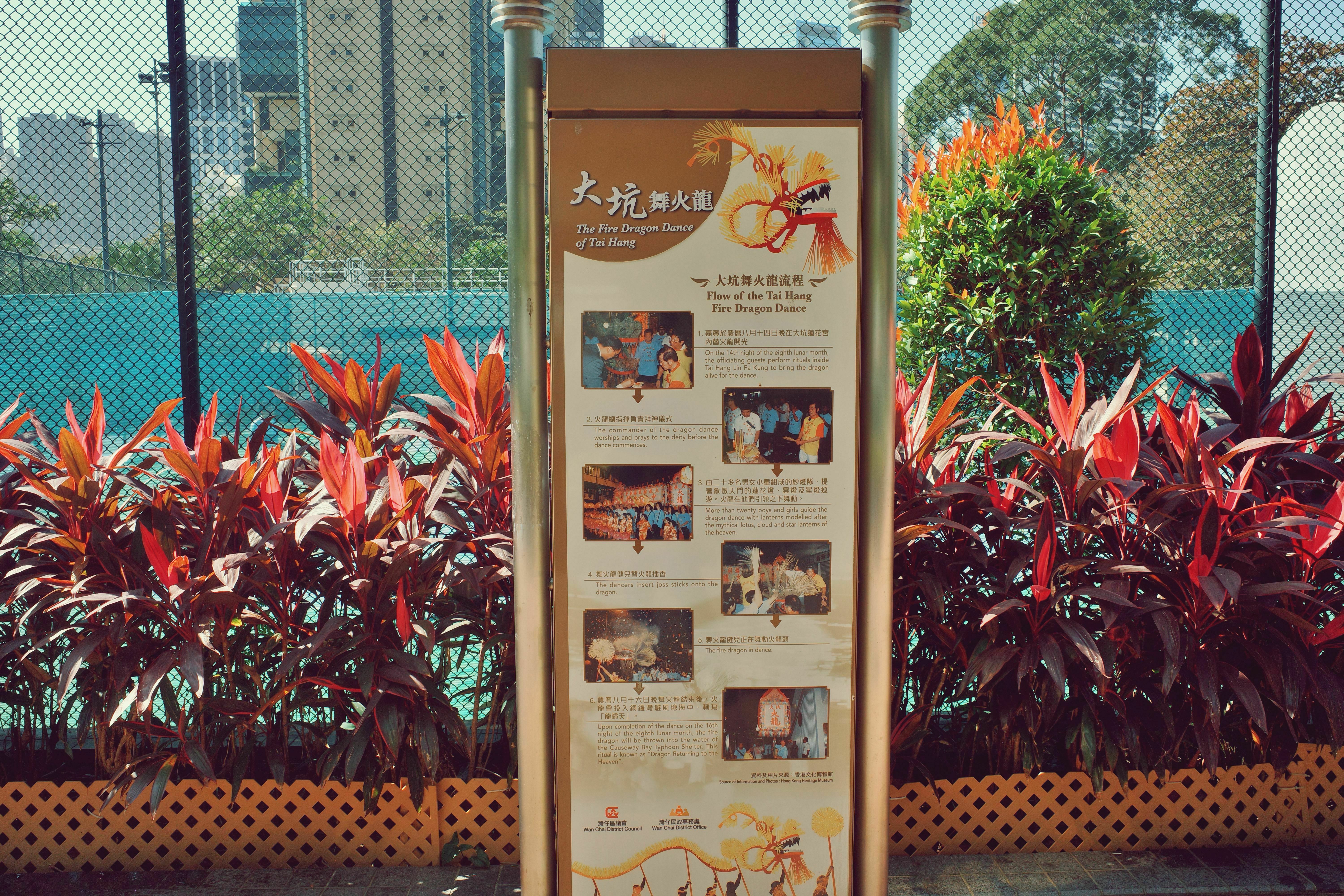 2011年，大坑的舞火龙被正式列入国家级非物质文化遗产代表性项目。