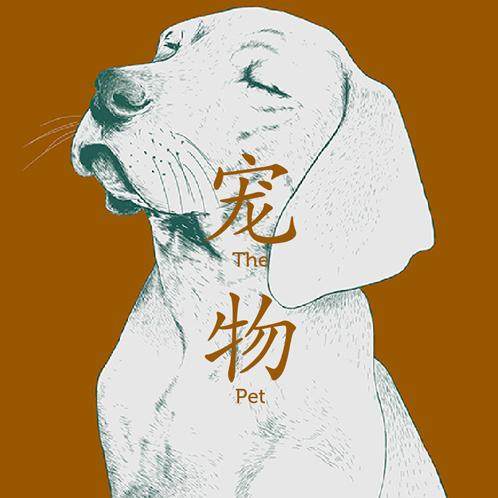 养宠物的故事 episode artwork