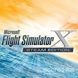 微软模拟飞行X