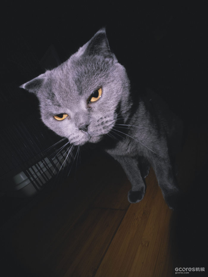 摄影分享丨这一年 摄影分享丨这一年