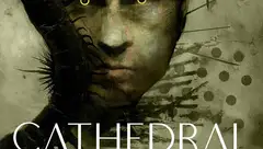 阅读、观影杂感