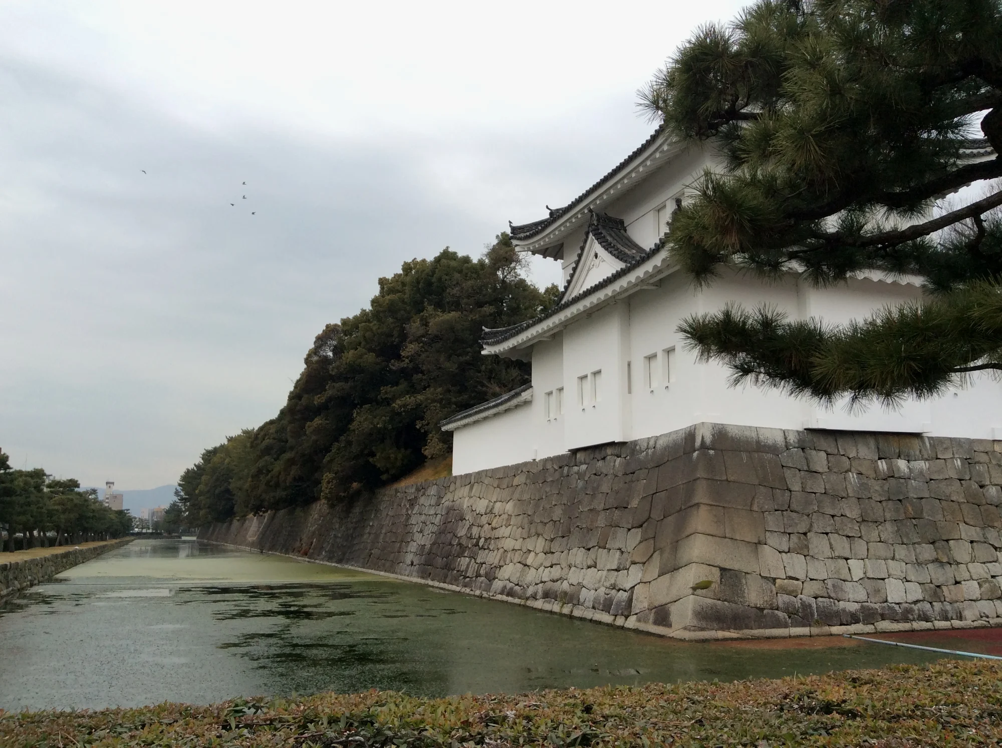 二条城的护城河和白色望楼