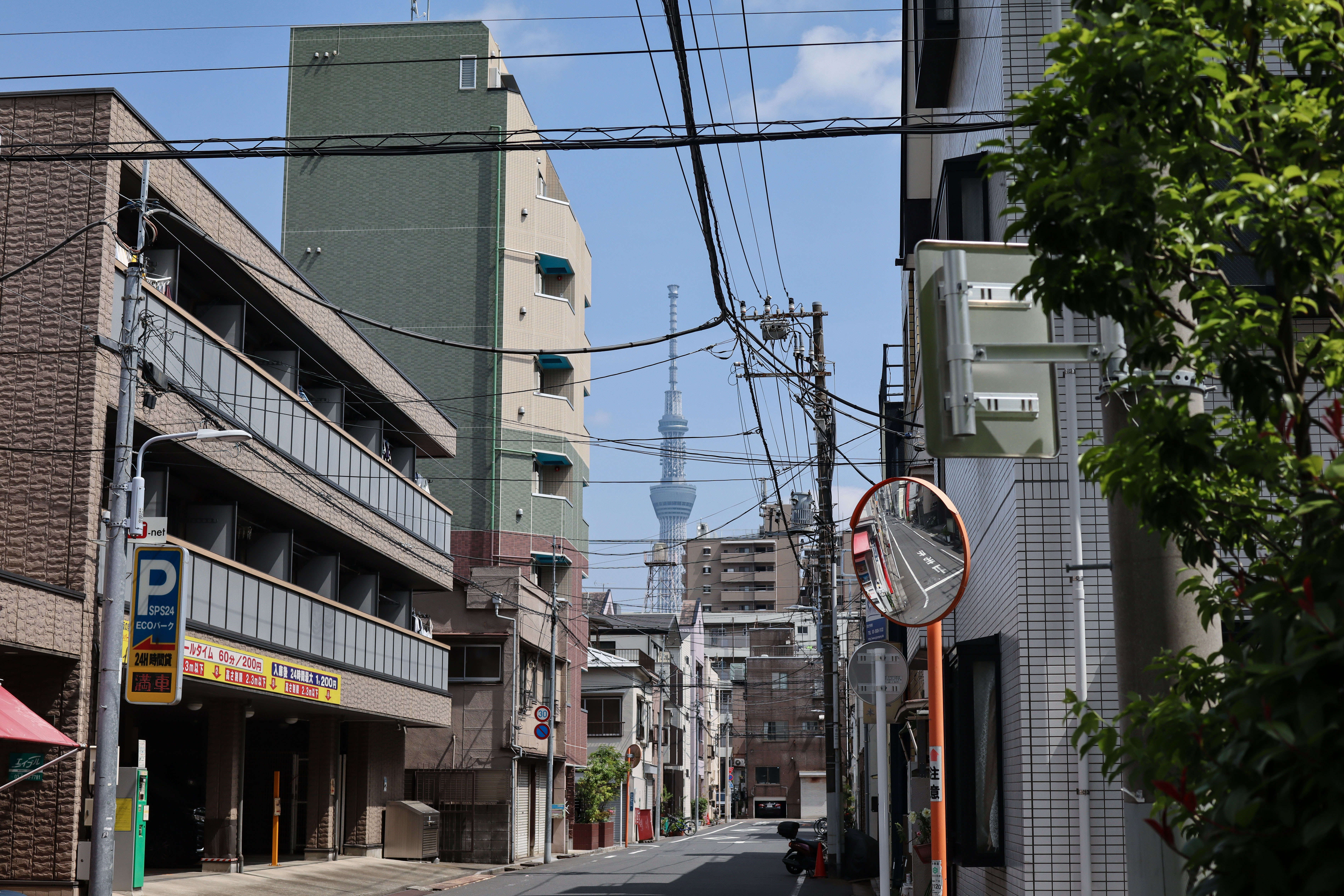 从吉原眺望天空树