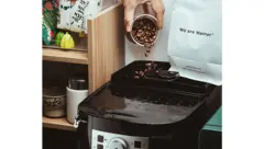 摄影分享 丨 日常