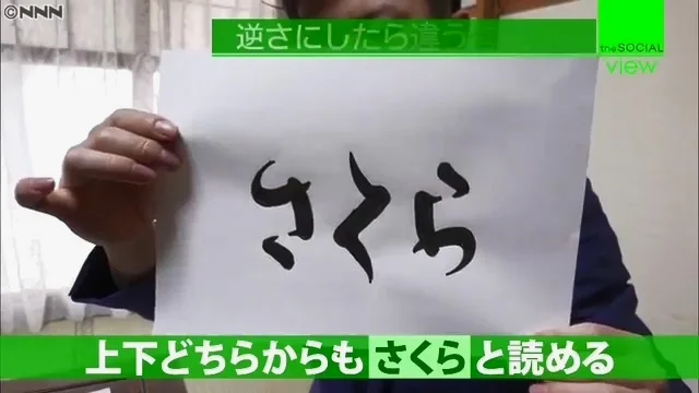 正反来看都是さくら“樱花”