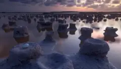 《枪械闹剧》