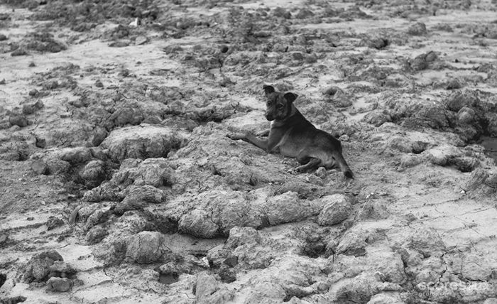 摄影分享丨这一年 摄影分享丨这一年