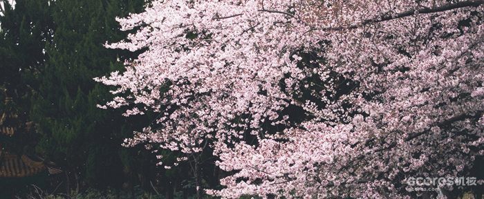 摄影分享丨这一年 摄影分享丨这一年