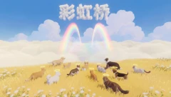 猫咪趣芝士