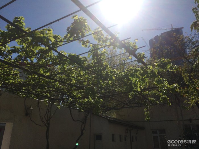 摄影分享丨巴库 摄影分享丨巴库