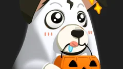 雷纳托·阿圭勒的故事