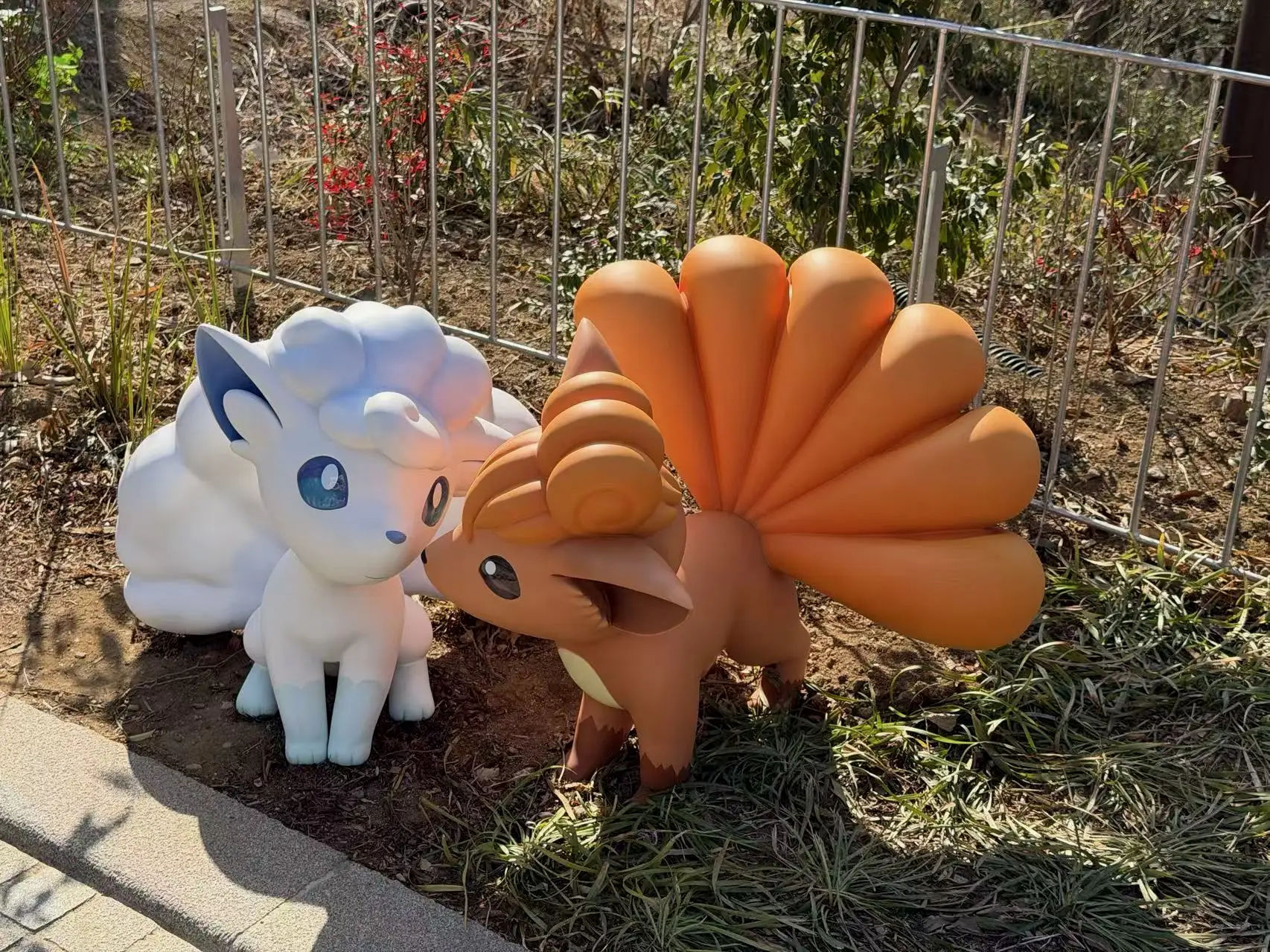 这是我阿罗拉来的亲戚