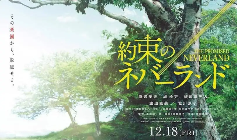 真人版电影《约定的梦幻岛》特报公开，日本12月18日上映