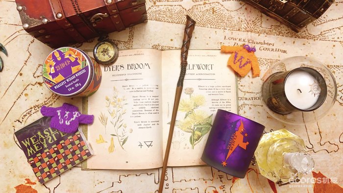 《哈利·波特》系列中的神秘植物考(四)(D系列) 《哈利·波特》系列中的神秘植物考(四)(D系列)