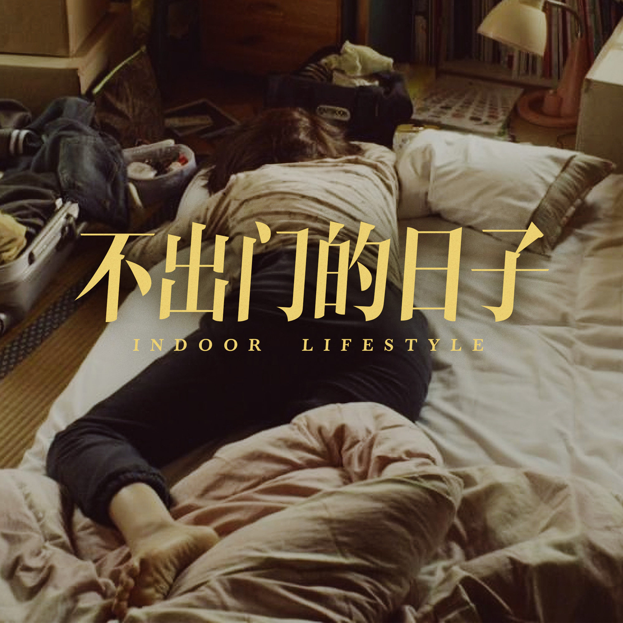 没有出门的日子里，我们都在干些什么？ episode artwork