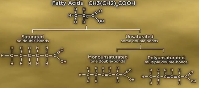 脂肪酸的分类