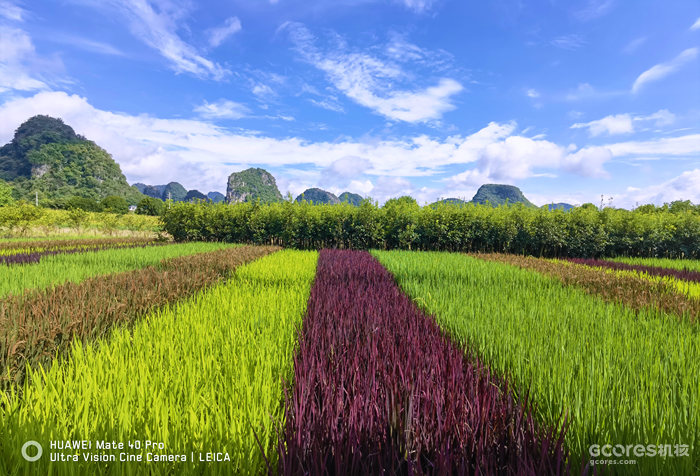 去阳朔玩的一些照片 去阳朔玩的一些照片