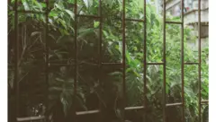 摄影分享 丨 日常