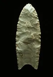 克洛维斯遗址中发现的枪头