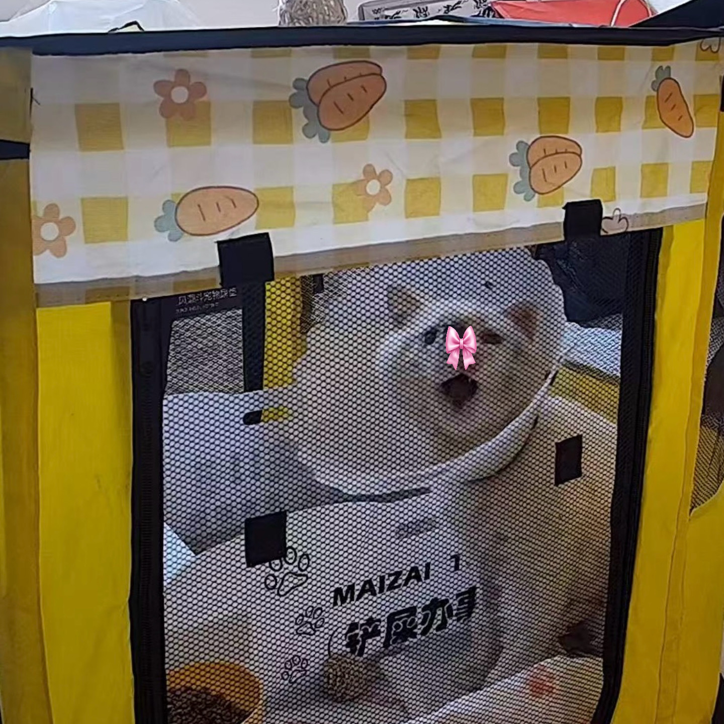 努力发出声音
