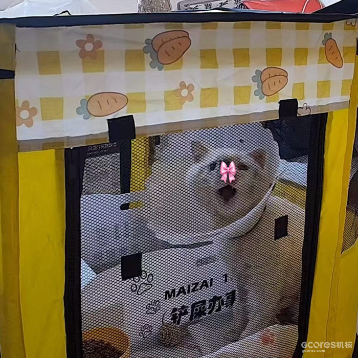 努力发出声音