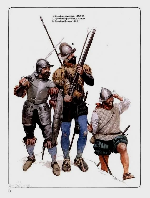 装备着板甲和钢盾的西班牙剑盾兵，作为和“双倍薪水”大剑兵类似的精锐突击力量，在西班牙的近代军事体系中活跃了很长时间。