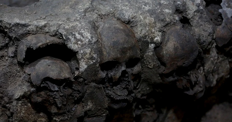在墨西哥发现的头骨，很可能是用于祭祀的人殉，2017年