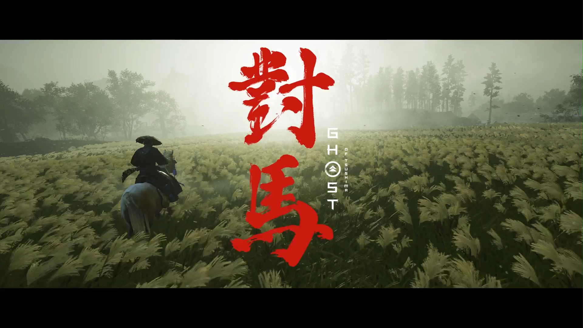 游戏摄影丨《对马岛之鬼》摄影