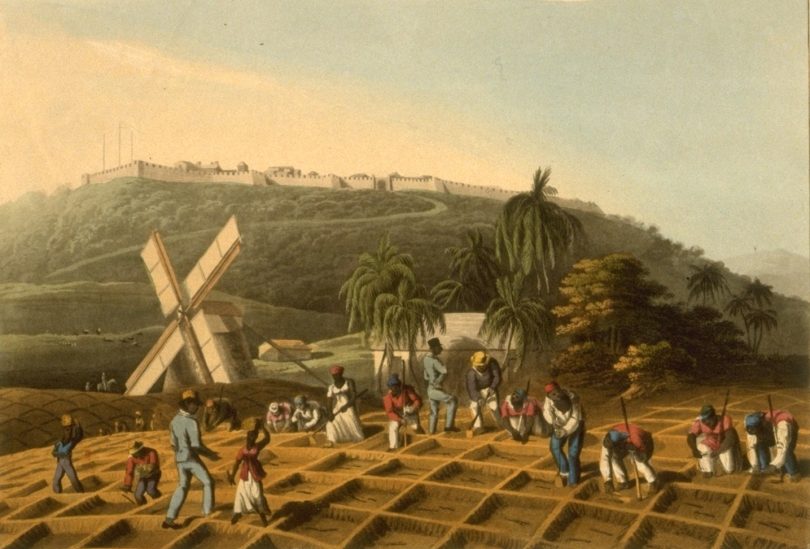 其实海地殖民时期的经济作物是蔗糖，只不过《维多利亚2》原版游戏没这个产物。海地独立以后，这类种植园被全部没收然后拆做小块农田平均分给小农。此举深得民心却彻底摧毁了海地最大的经济来源。