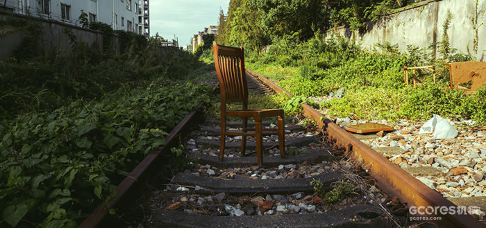 摄影分享丨这一年 摄影分享丨这一年