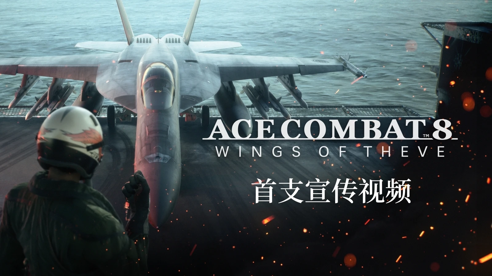 《空战奇兵8 希孚之翼》正式公布，将于2026年发售