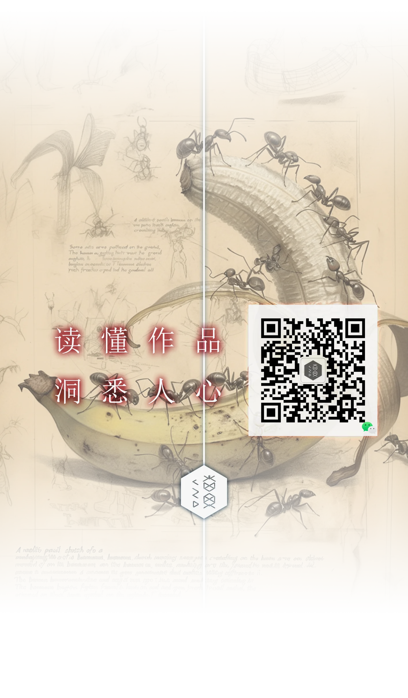 微信公众号（无删节）