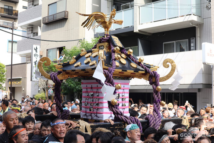 摄影丨东京印象 摄影丨东京印象