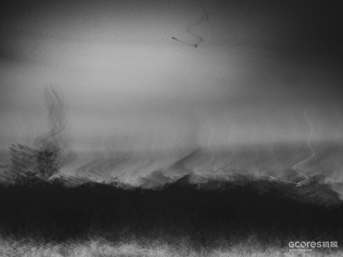 摄影分享丨这一年 摄影分享丨这一年