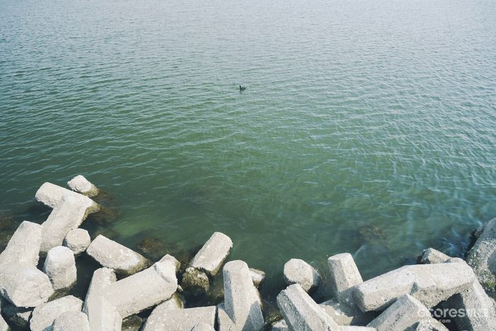 摄影分享丨这一年 摄影分享丨这一年