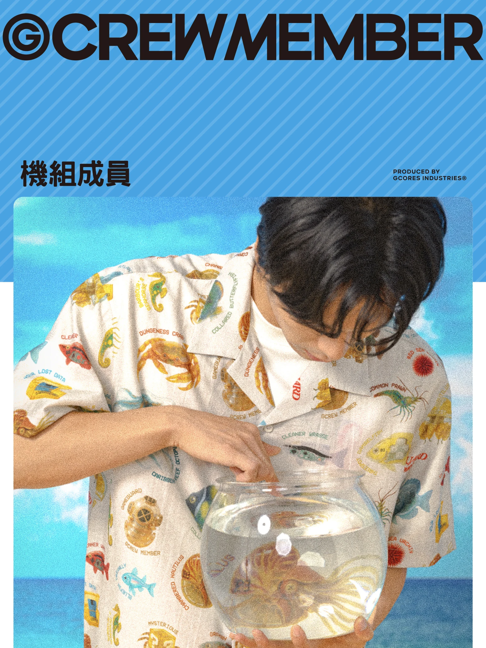 介绍图片