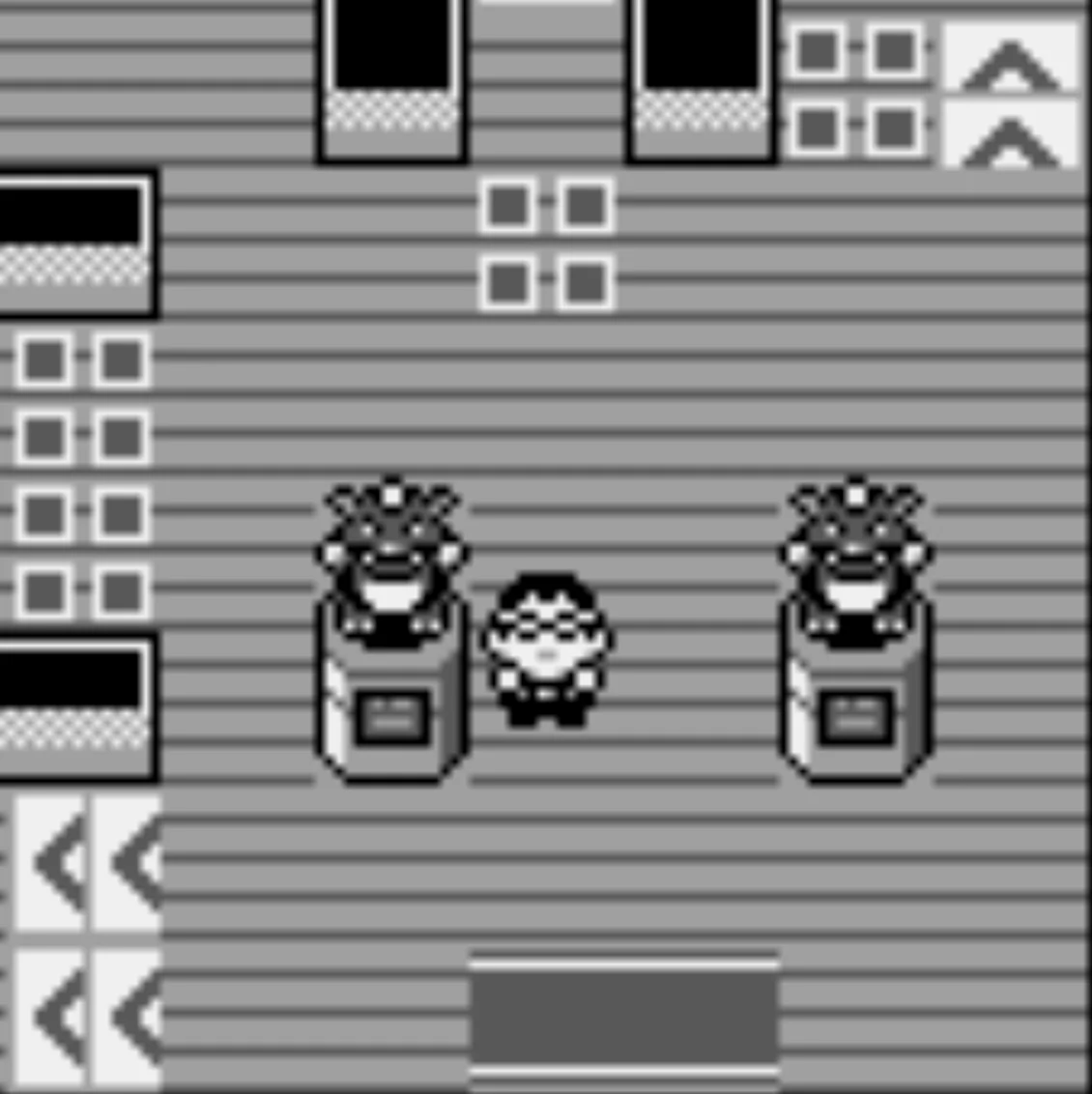 这两尊塑像是双手举高的钻角犀兽，暗示这是世界上诞生的第一只宝可梦