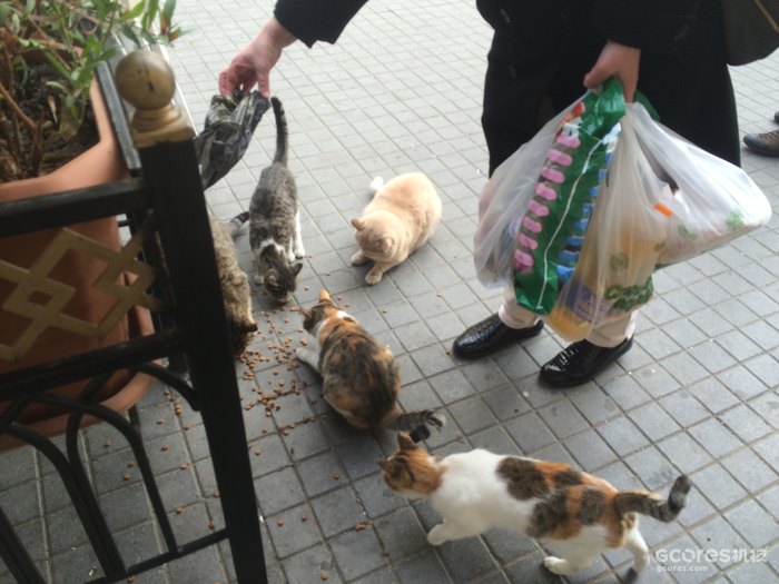 摄影分享丨巴库 摄影分享丨巴库