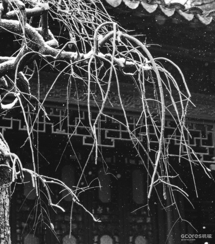 摄影分享丨这一年 摄影分享丨这一年