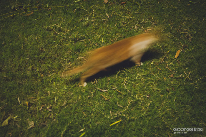 摄影分享丨这一年 摄影分享丨这一年