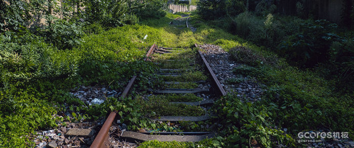 摄影分享丨这一年 摄影分享丨这一年