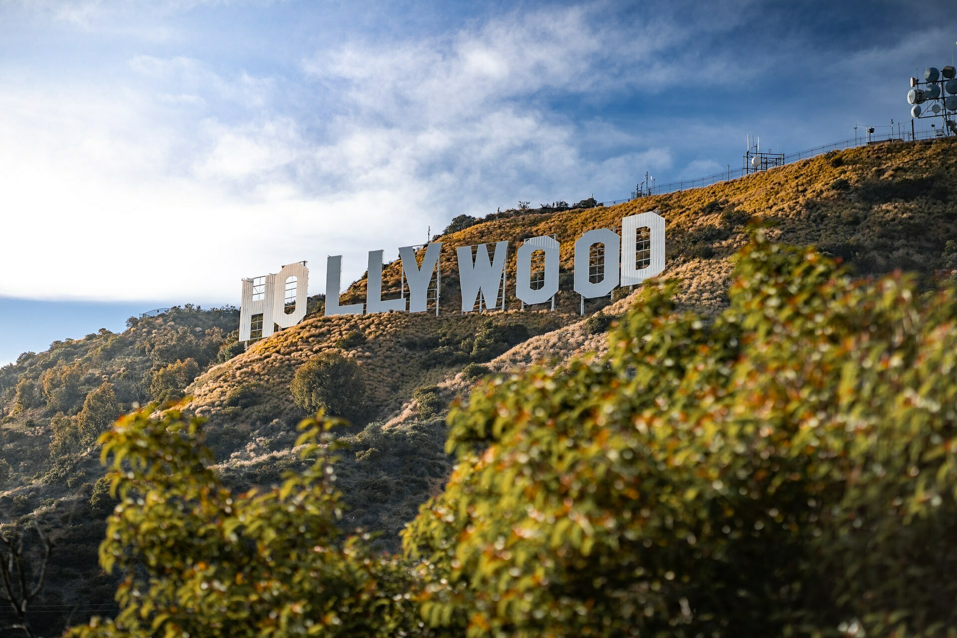 42 互动娱乐公司坐落在好莱坞标志的山坡后方不远处/图：Wikipedia