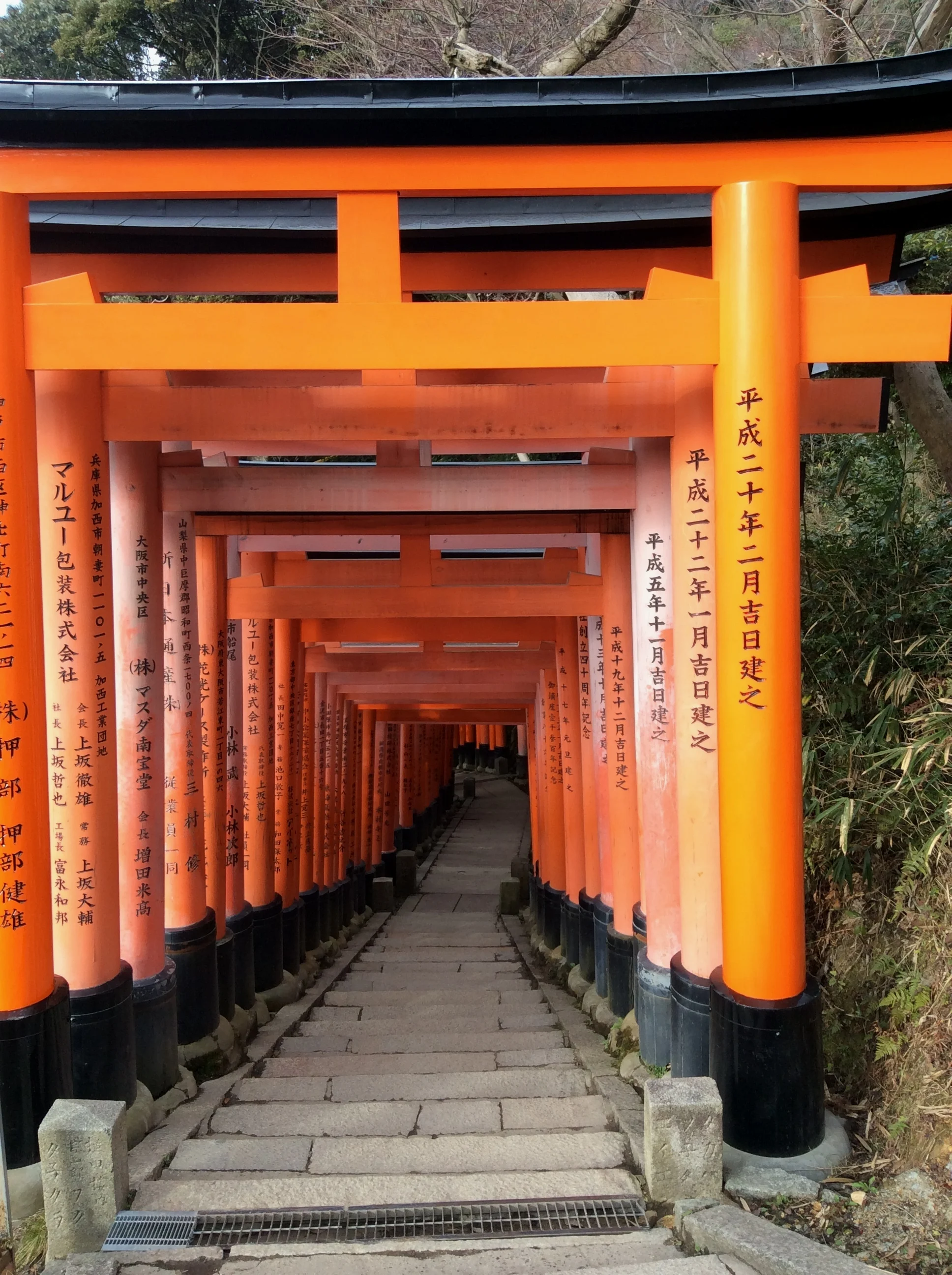 山顶的“千本鸟居”