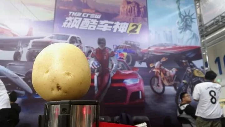 图源：凤凰胸针院二世