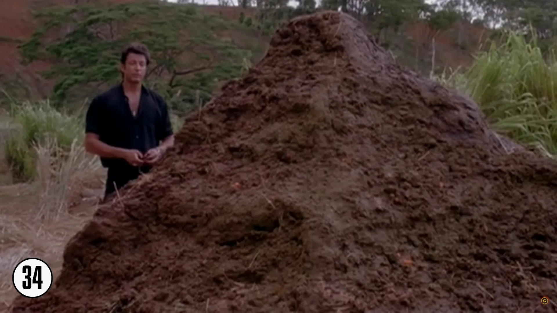 A big pile of shit